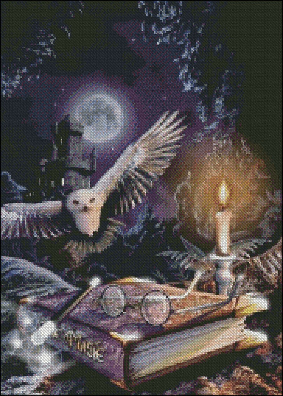 Novelty Night - Counted Cross Stitch Patterns Embroidery Crafts Needlework DIY Chart DMC Color