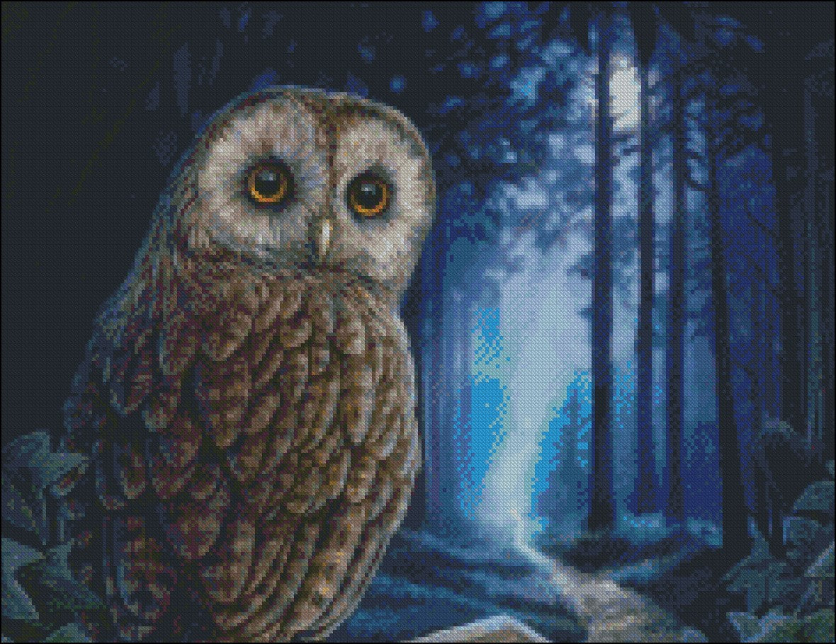 Owls Collection 19 - Counted Cross Stitch Patterns Embroidery Crafts Needlework DIY Chart DMC Color