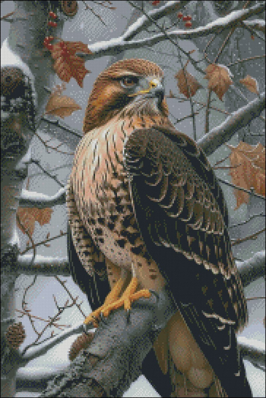 Lady Hawk 2 - Counted Cross Stitch Patterns Embroidery Crafts Needlework DIY Chart DMC Color