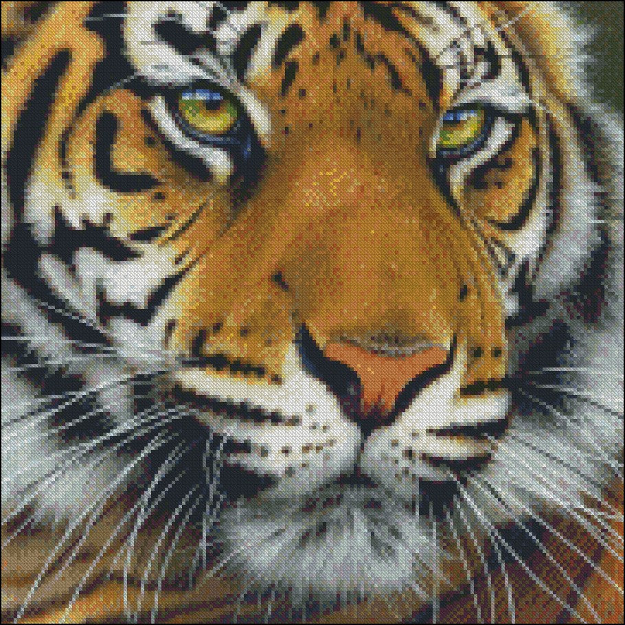 Tiger Collection 3 - Counted Cross Stitch Patterns Embroidery Crafts Needlework DIY Chart DMC Color