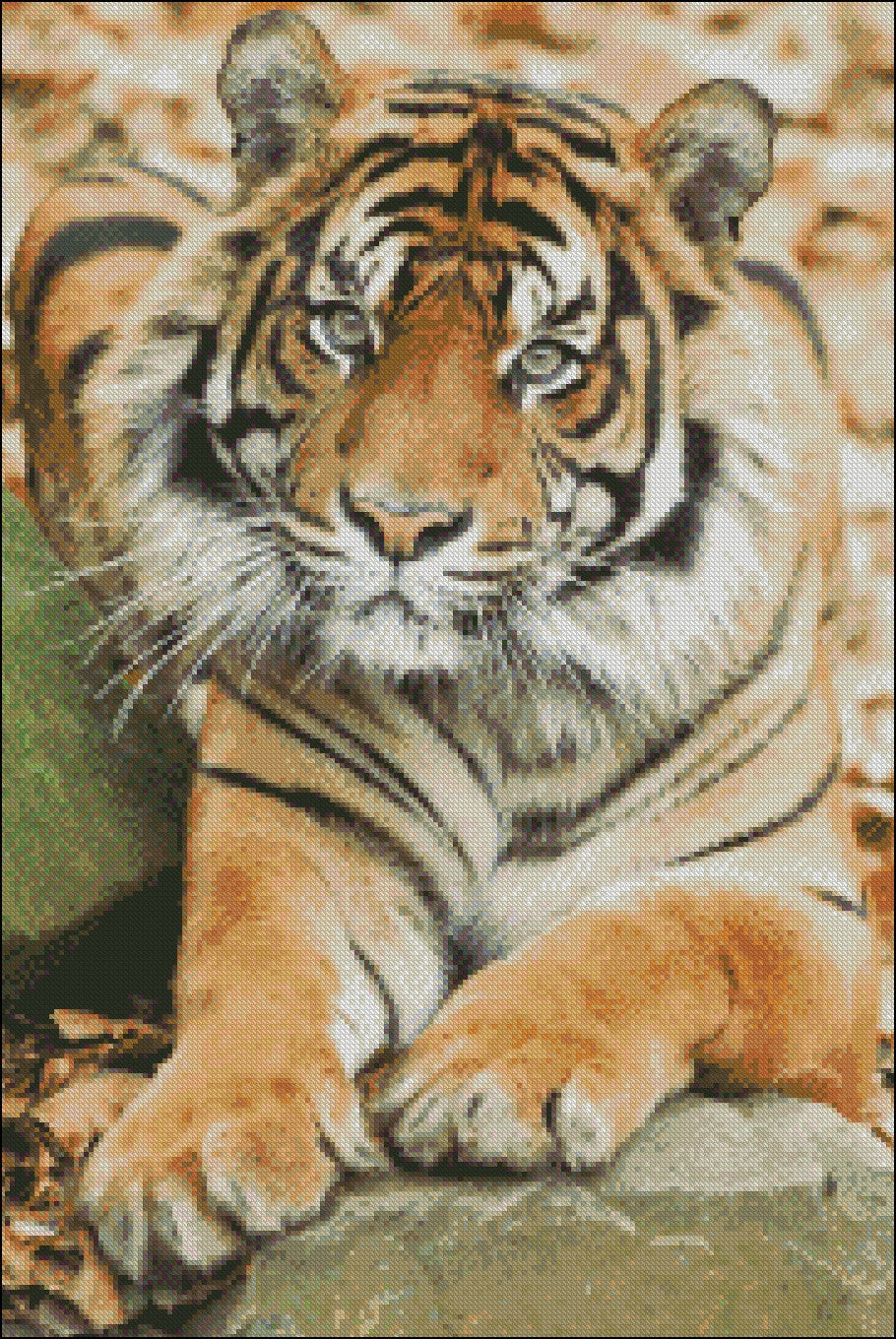 Tiger Collection 15 - Counted Cross Stitch Patterns Embroidery Crafts Needlework DIY Chart DMC Color