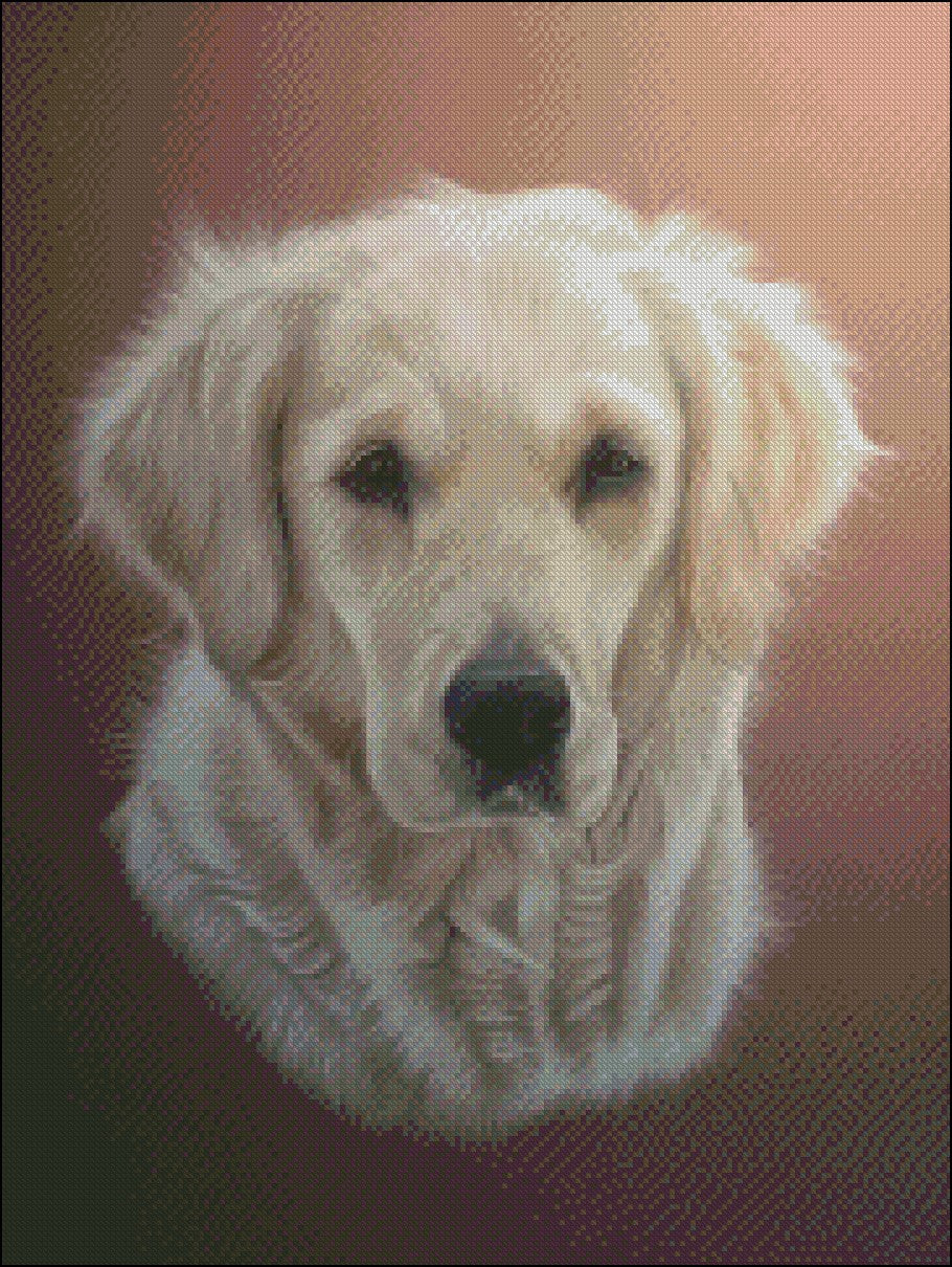 Portrait of Dogs 5 - Counted Cross Stitch Patterns Embroidery Crafts Needlework DIY Chart DMC Color