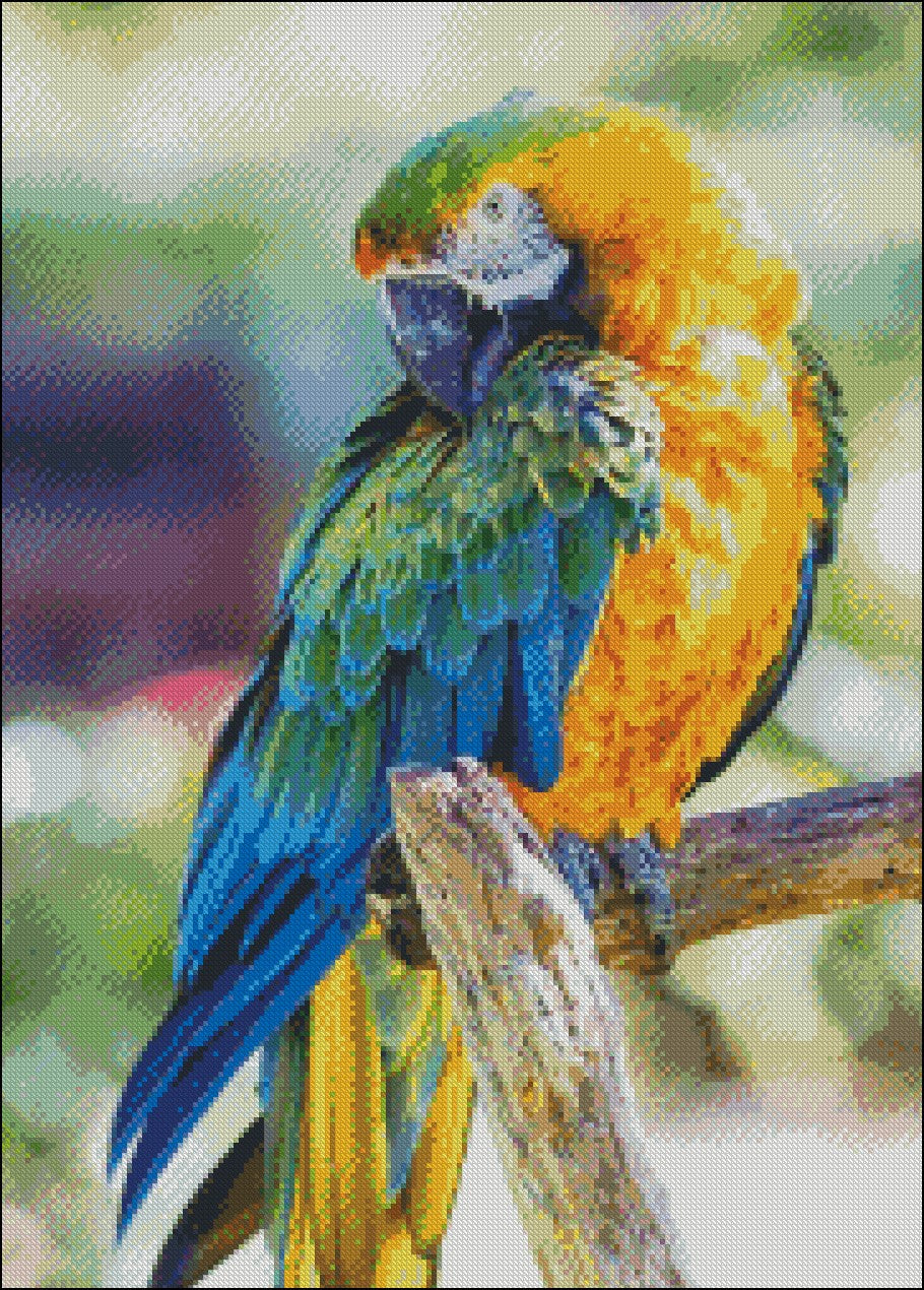 Parrot and Macaw 11 - Counted Cross Stitch Patterns Embroidery Crafts Needlework DIY Chart DMC Color