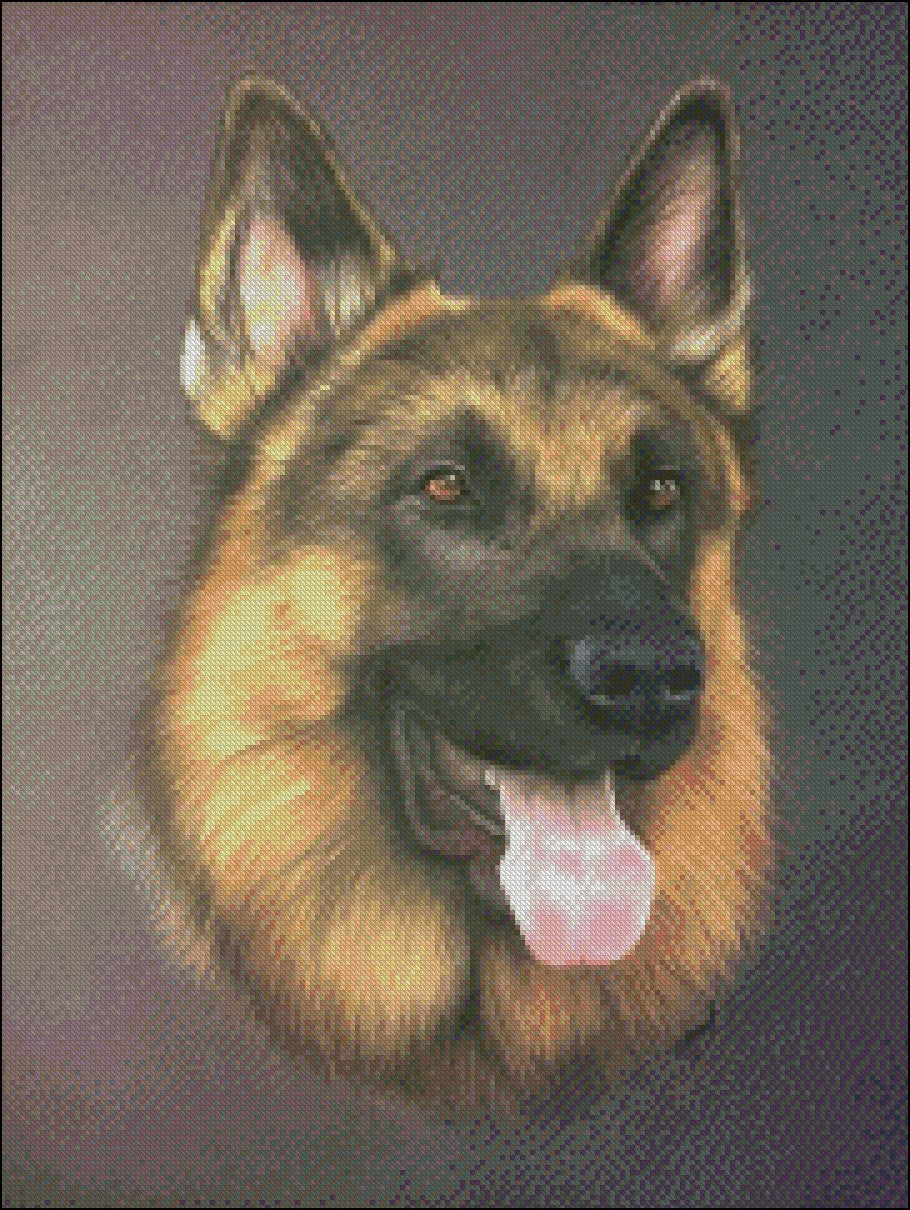 Portrait of Dogs 10 - Counted Cross Stitch Patterns Embroidery Crafts Needlework DIY Chart DMC Color