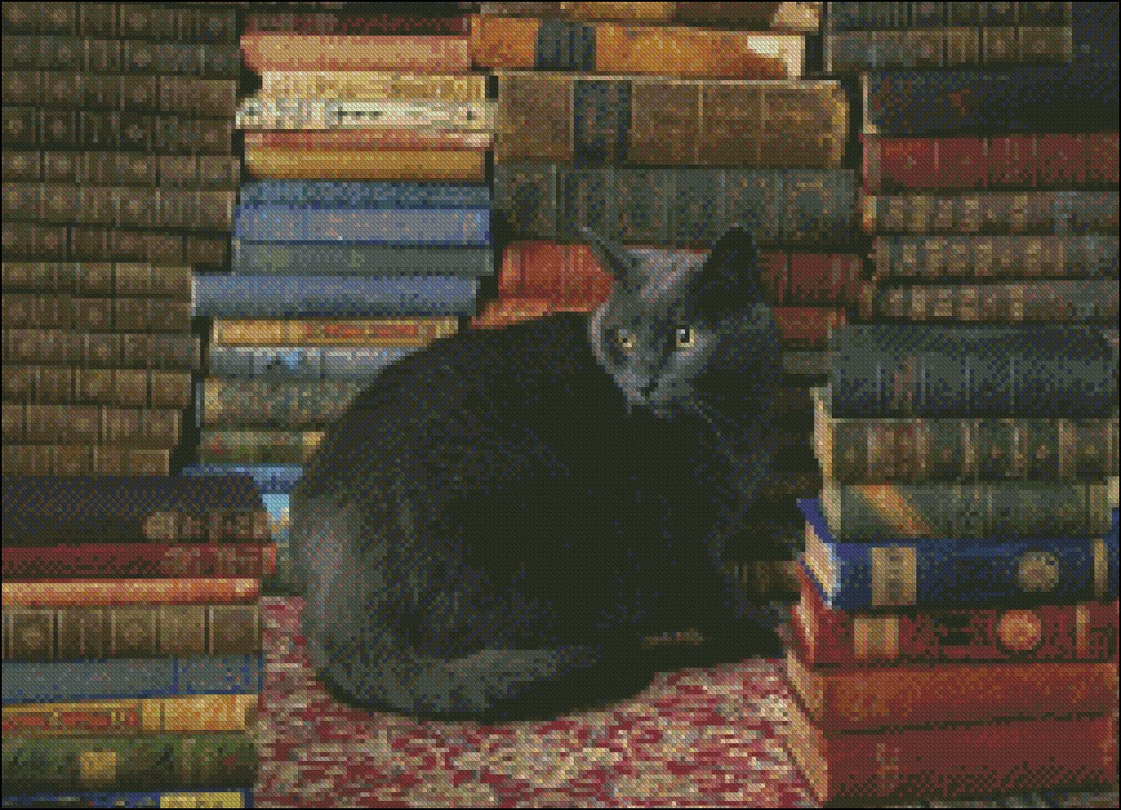 Library Cat - Counted Cross Stitch Patterns Embroidery Crafts Needlework DIY Chart DMC Color