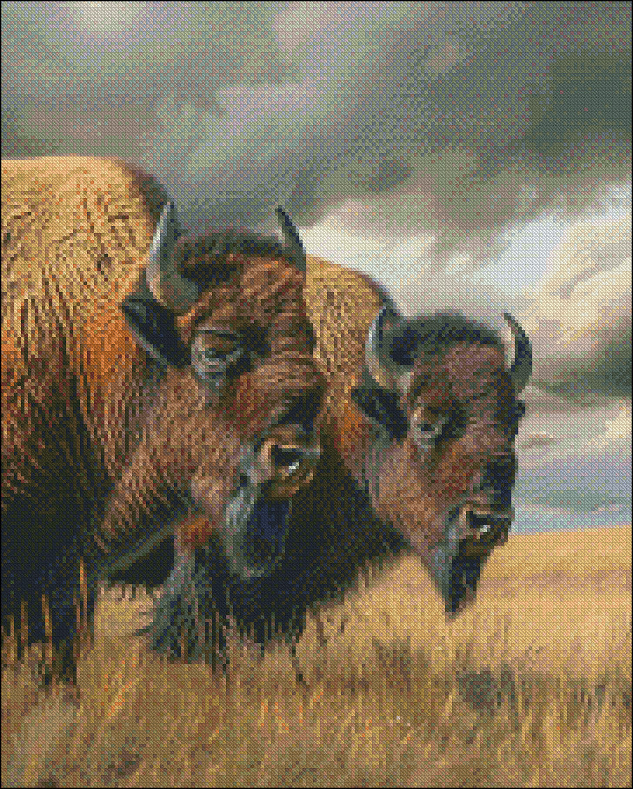 Bison at the Prairie - Counted Cross Stitch Patterns Embroidery Crafts Needlework DIY Chart DMC Color