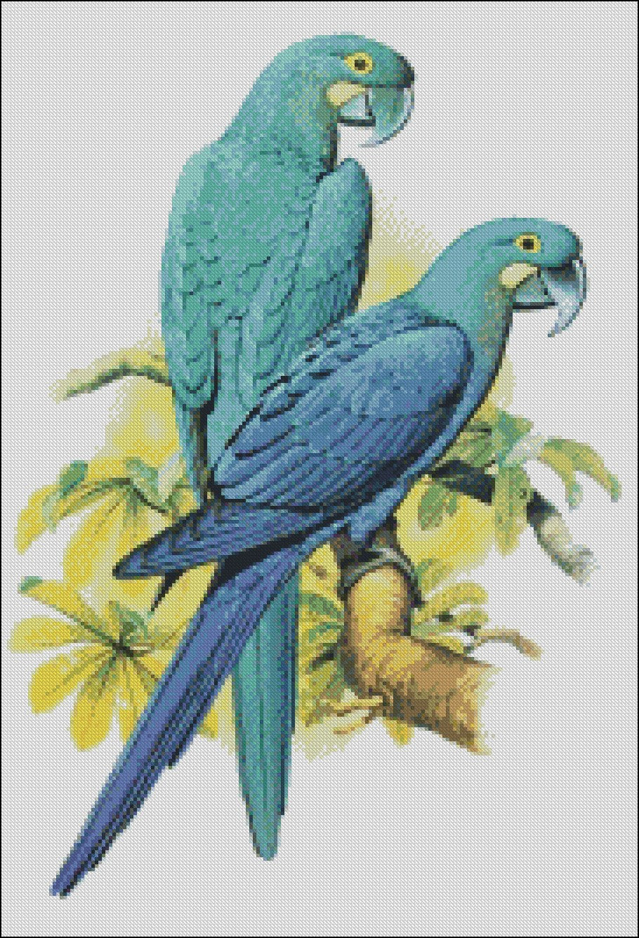 Parrot and Macaw 15 - Counted Cross Stitch Patterns Embroidery Crafts Needlework DIY Chart DMC Color