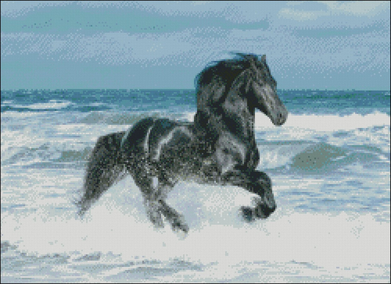 The Black Horse 2 - Counted Cross Stitch Patterns Embroidery Crafts Needlework DIY Chart DMC Color