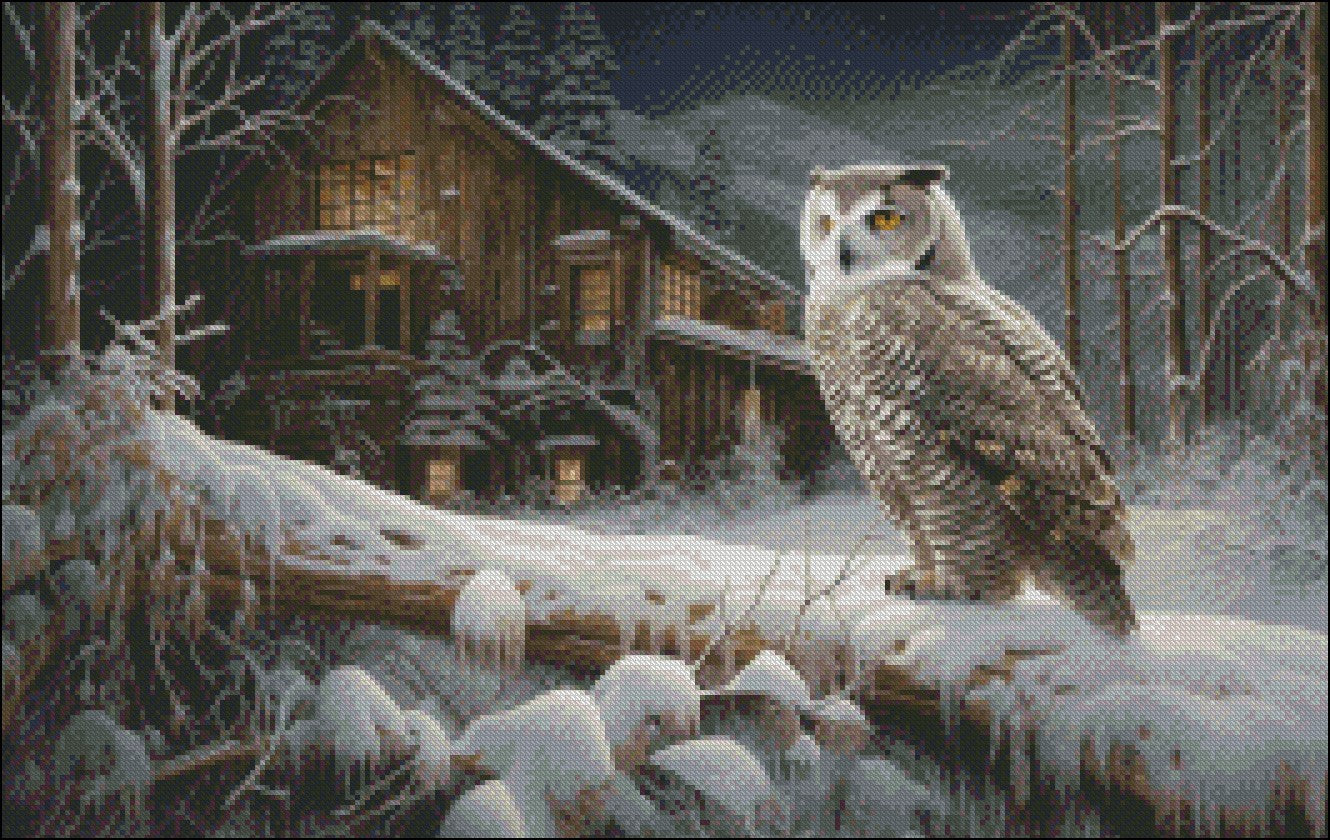 Silent Visitor - Counted Cross Stitch Patterns Embroidery Crafts Needlework DIY Chart DMC Color