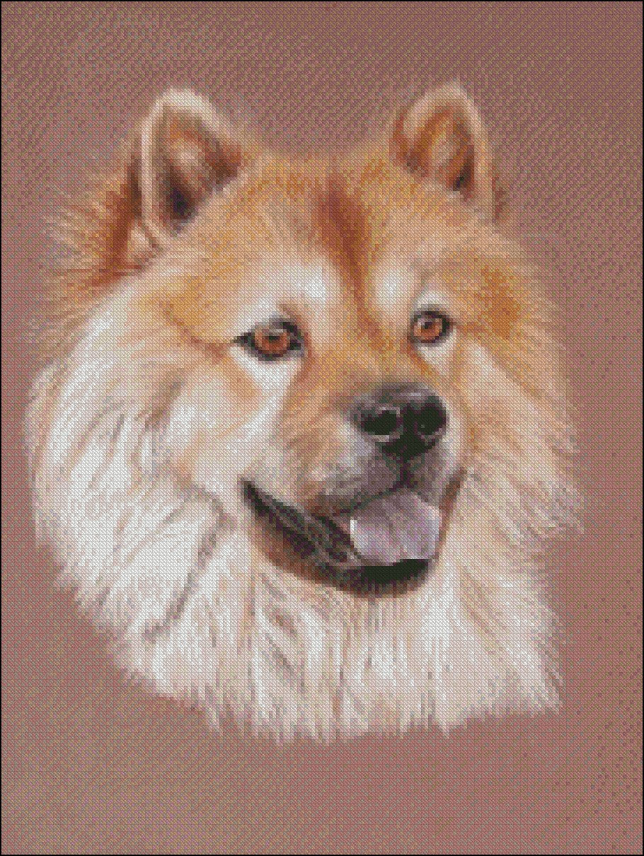 Portrait of Dogs 2 - Counted Cross Stitch Patterns Embroidery Crafts Needlework DIY Chart DMC Color