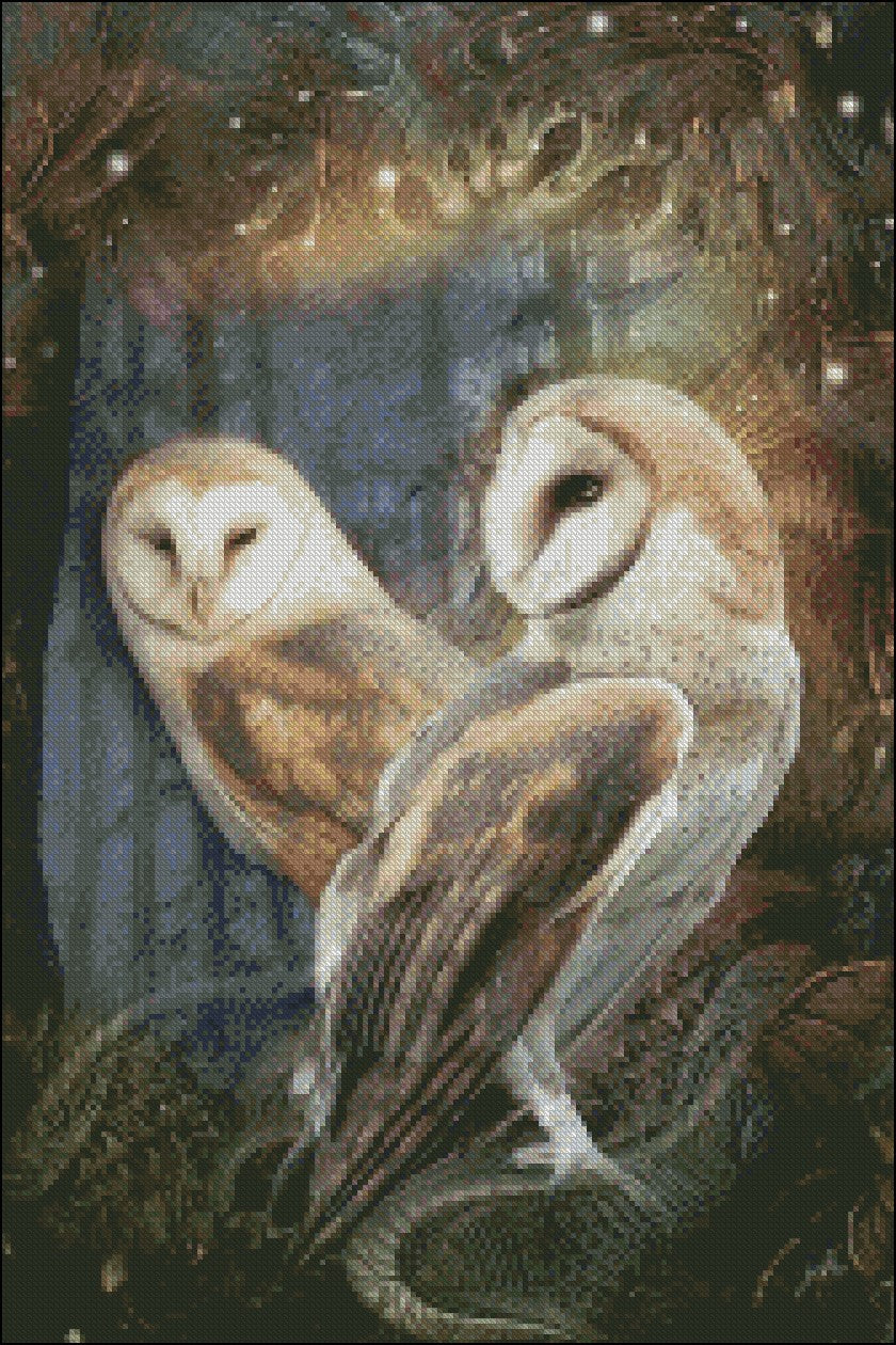 Owls 4 - Counted Cross Stitch Patterns Embroidery Crafts Needlework DIY Chart DMC Color