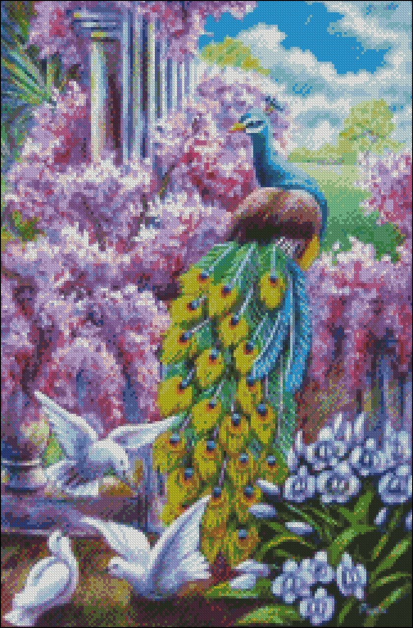 Peacock Collection 2 - Counted Cross Stitch Patterns Embroidery Crafts Needlework DIY Chart DMC Color