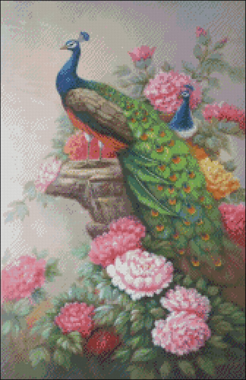 Peacock Collection 3 - Counted Cross Stitch Patterns Embroidery Crafts Needlework DIY Chart DMC Color