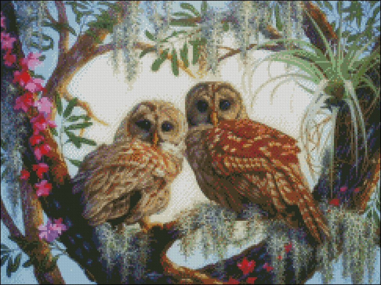 Owls Collection 20 - Counted Cross Stitch Patterns Embroidery Crafts Needlework DIY Chart DMC Color