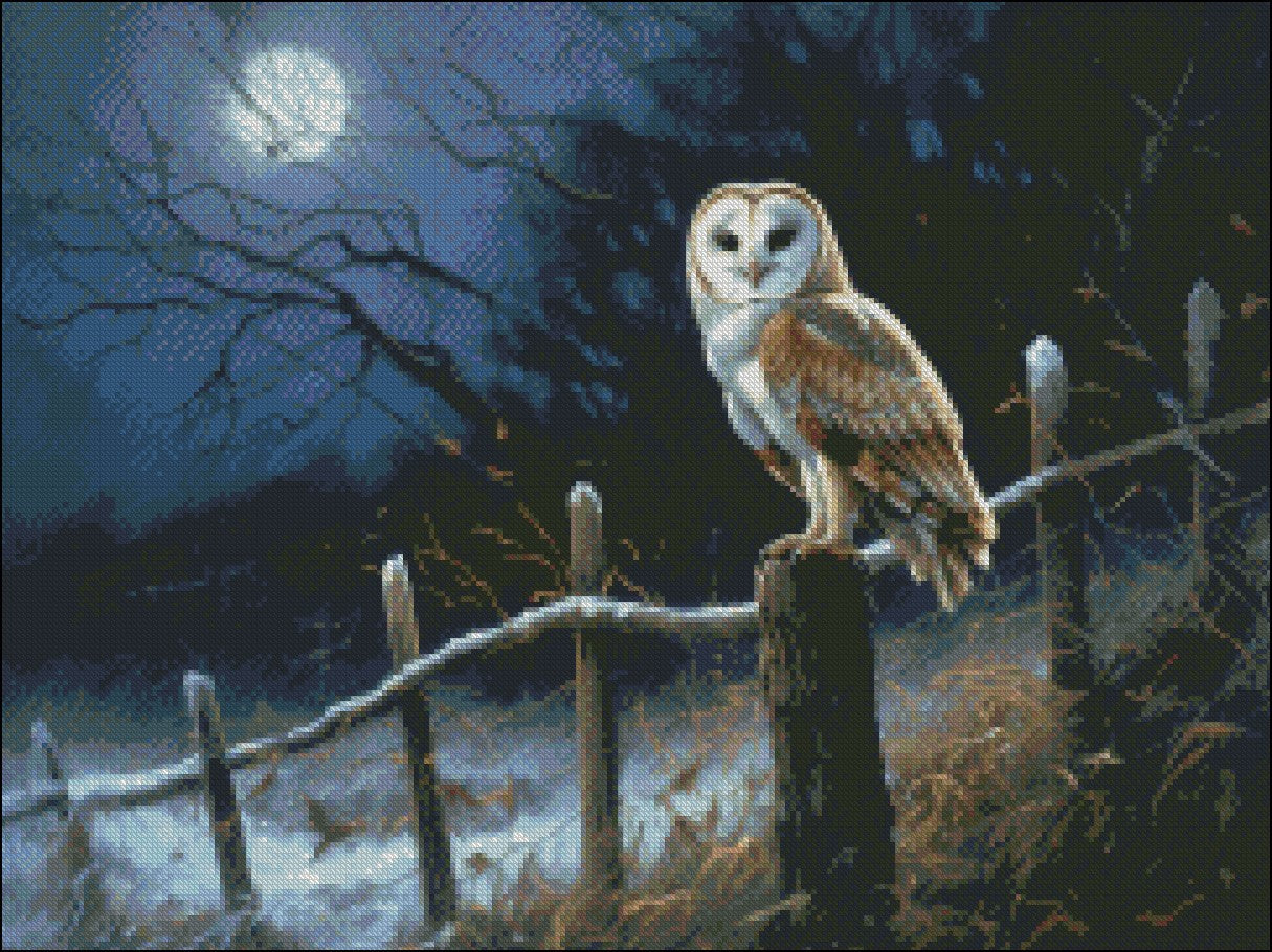 Barn Owl 3  - Counted Cross Stitch Patterns Embroidery Crafts Needlework DIY Chart DMC Color