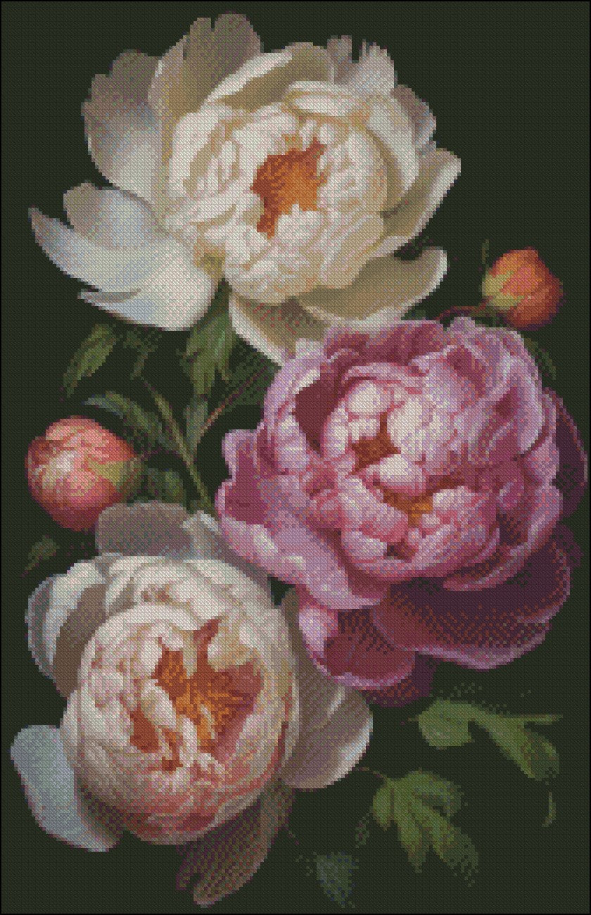 Three Peonies - Counted Cross Stitch Patterns Embroidery Crafts Needlework DIY Chart DMC Color