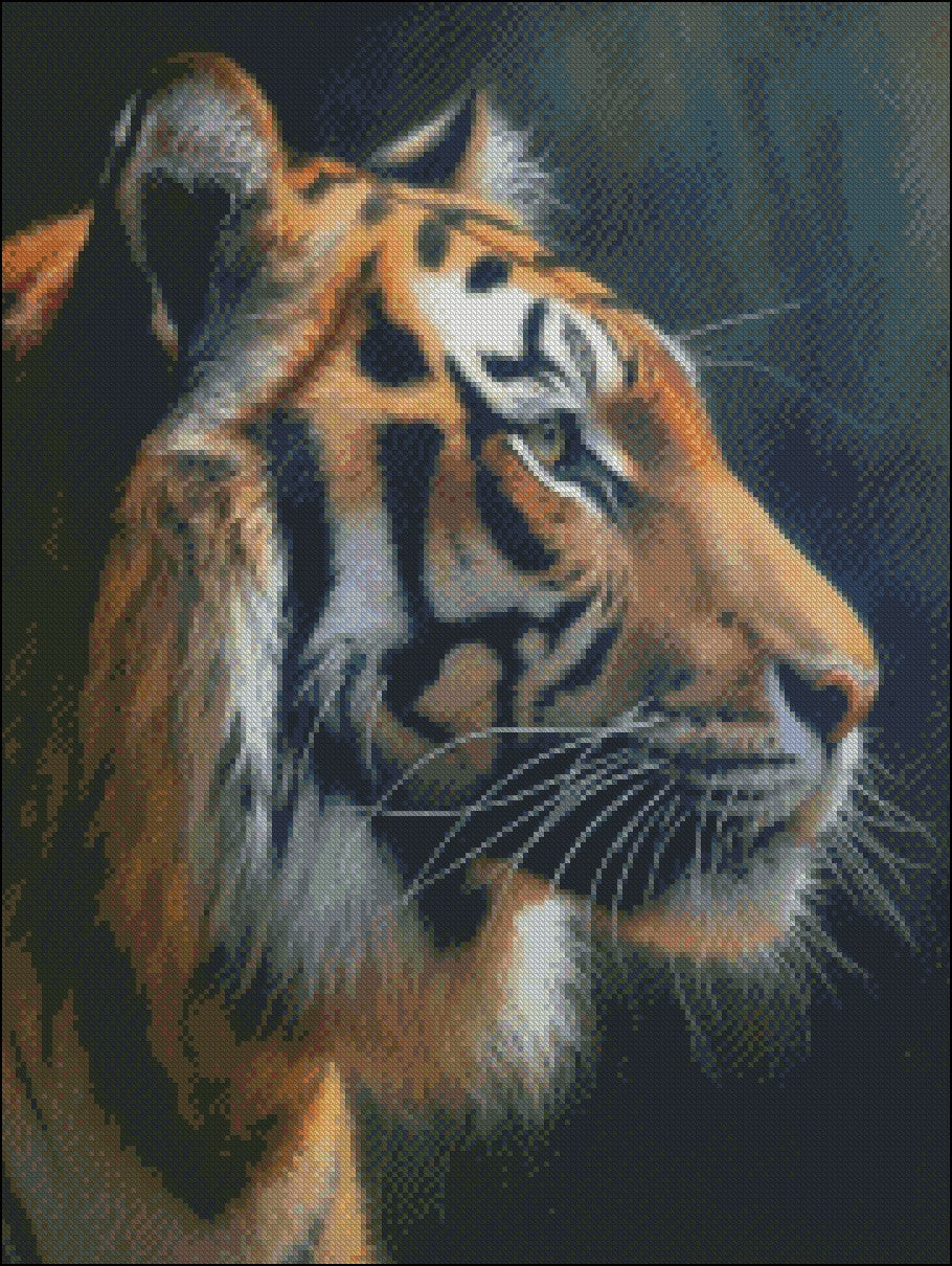 Portrait of Tiger 5 - Counted Cross Stitch Patterns Embroidery Crafts Needlework DIY Chart DMC Color