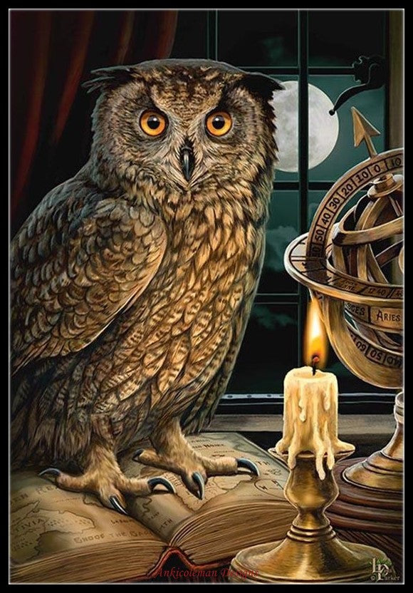 The Astrologer - Counted Cross Stitch Patterns Embroidery Crafts Needlework DIY Chart DMC Color