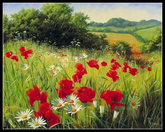 Poppies Field 5 - Counted Cross Stitch Patterns Embroidery Crafts Needlework DIY Chart DMC Color