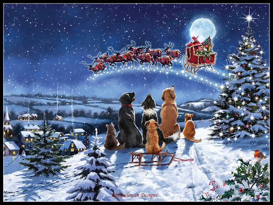 Midnight Meeting - Counted Cross Stitch Patterns Embroidery Crafts Needlework DIY Chart DMC Color