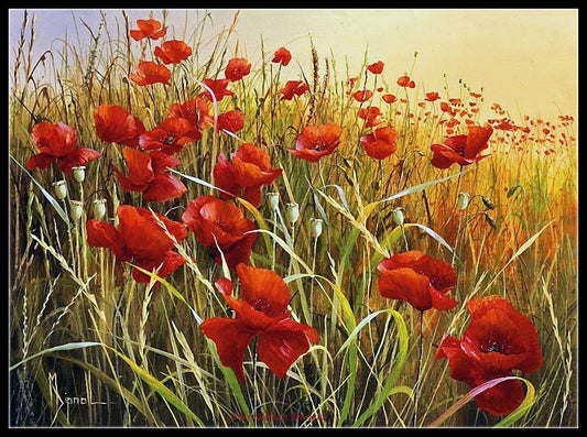 Poppies Field 12 - Counted Cross Stitch Patterns Embroidery Crafts Needlework DIY Chart DMC Color