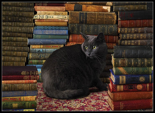Library Cat - Counted Cross Stitch Patterns Embroidery Crafts Needlework DIY Chart DMC Color