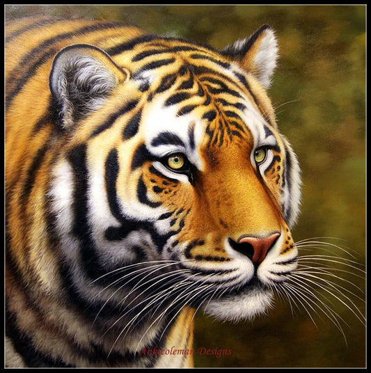 Portrait of Tiger - Counted Cross Stitch Patterns Embroidery Crafts Needlework DIY Chart DMC Color
