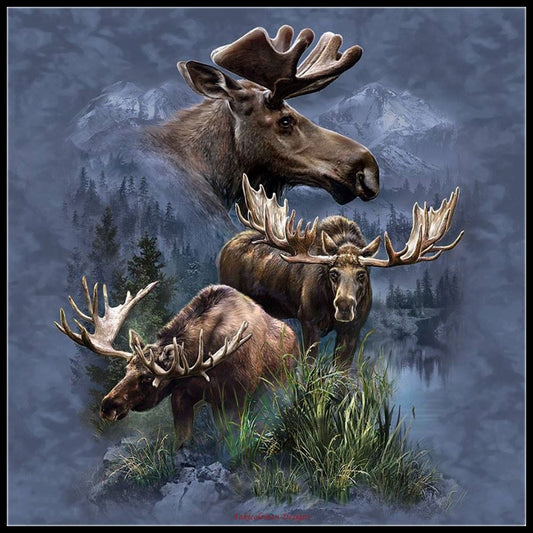 Moose Collage - Counted Cross Stitch Patterns Embroidery Crafts Needlework DIY Chart DMC Color