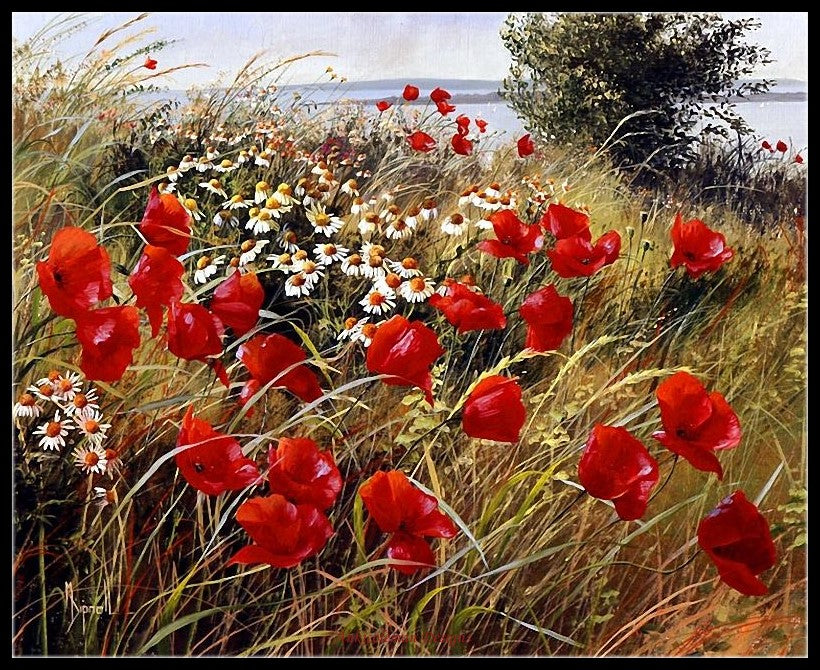 Poppies Field 3 - Counted Cross Stitch Patterns Embroidery Crafts Needlework DIY Chart DMC Color