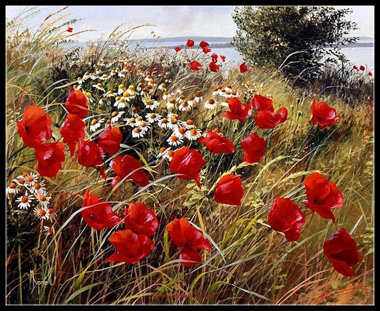 Poppies Field 3 - Counted Cross Stitch Patterns Embroidery Crafts Needlework DIY Chart DMC Color