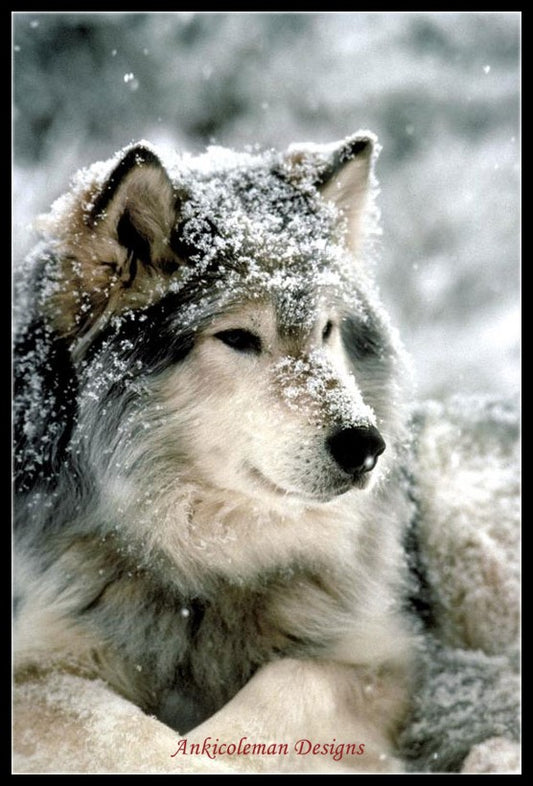 The Handsome Wolf - Counted Cross Stitch Patterns Embroidery Crafts Needlework DIY Chart DMC Color
