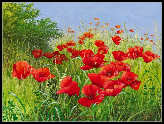 Poppies Field 10 - Counted Cross Stitch Patterns Embroidery Crafts Needlework DIY Chart DMC Color