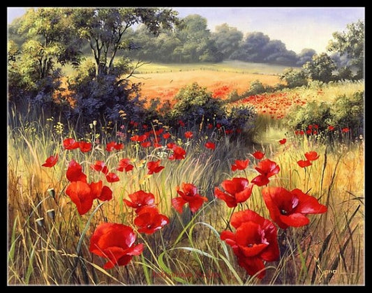 Poppies Field 6 - Counted Cross Stitch Patterns Embroidery Crafts Needlework DIY Chart DMC Color