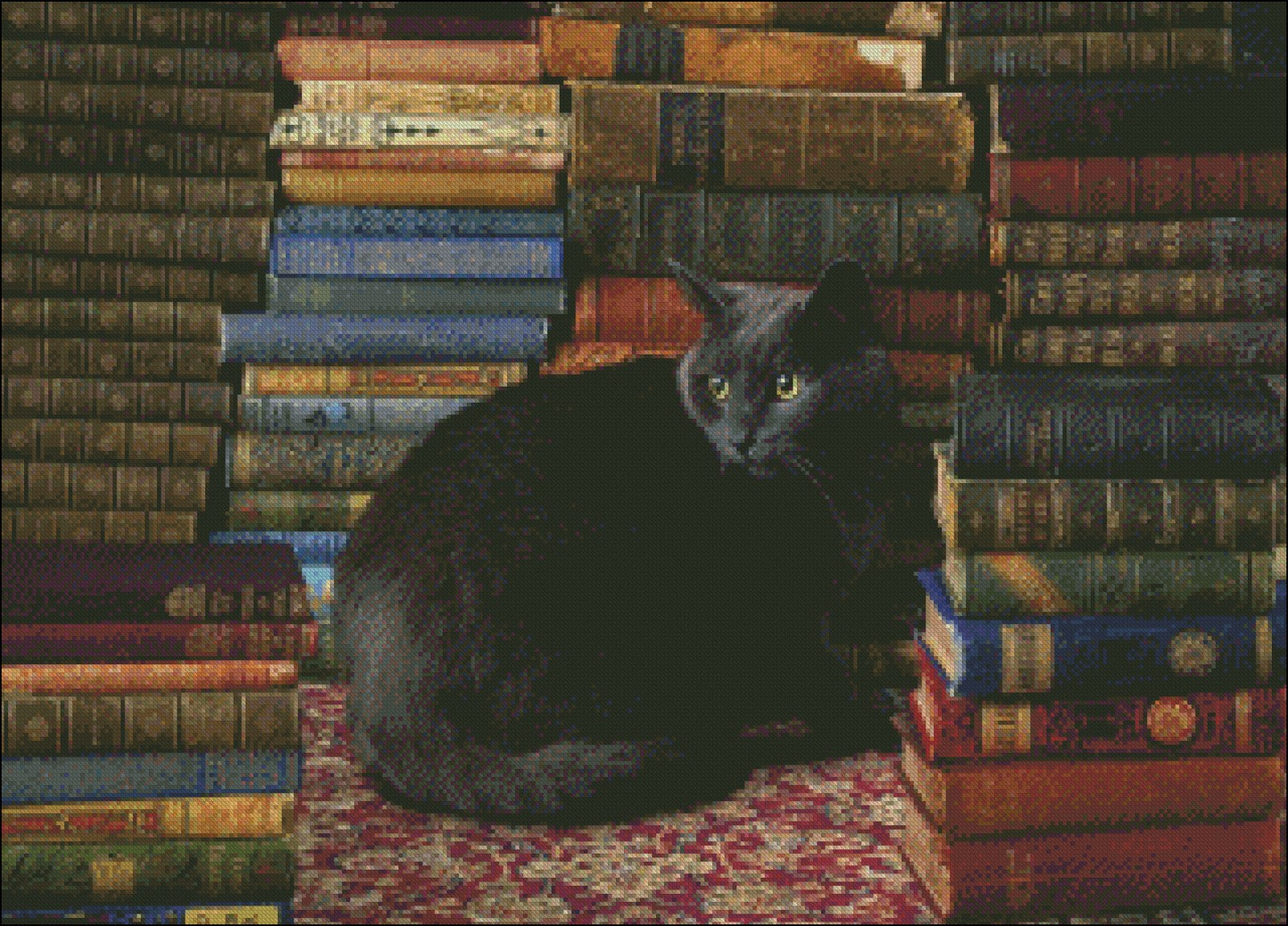 Library Cat - Counted Cross Stitch Patterns Embroidery Crafts Needlework DIY Chart DMC Color