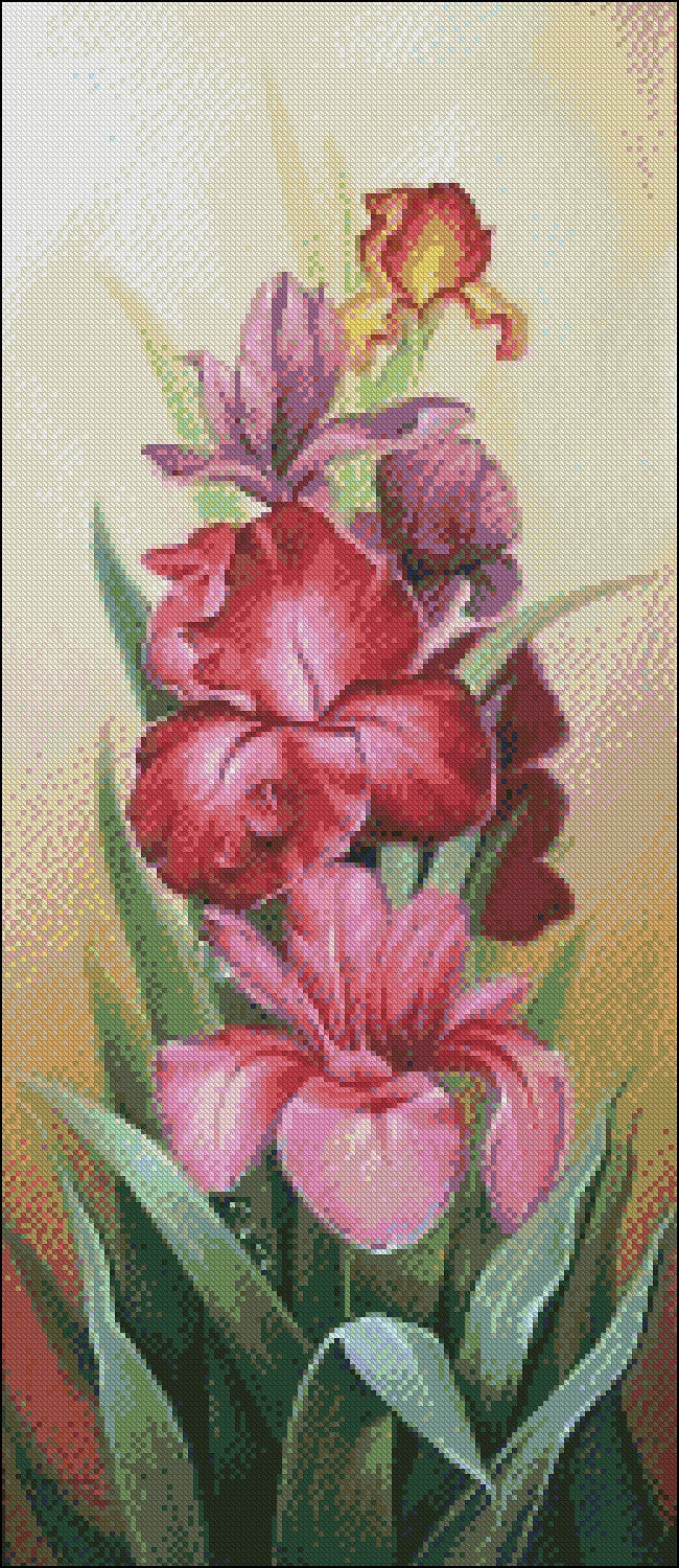 Iris II - Counted Cross Stitch Patterns Embroidery Crafts Needlework DIY Chart DMC Color