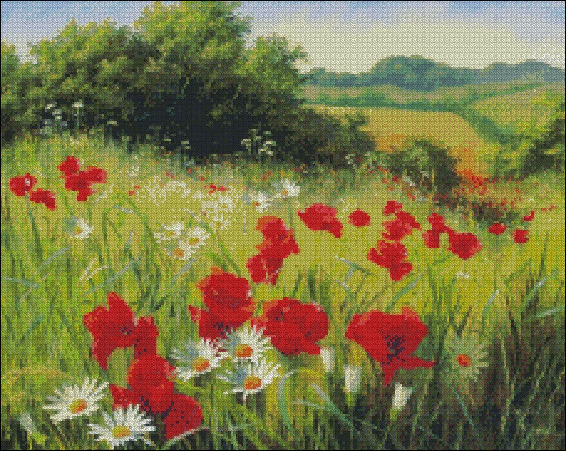 Poppies Field 5 - Counted Cross Stitch Patterns Embroidery Crafts Needlework DIY Chart DMC Color