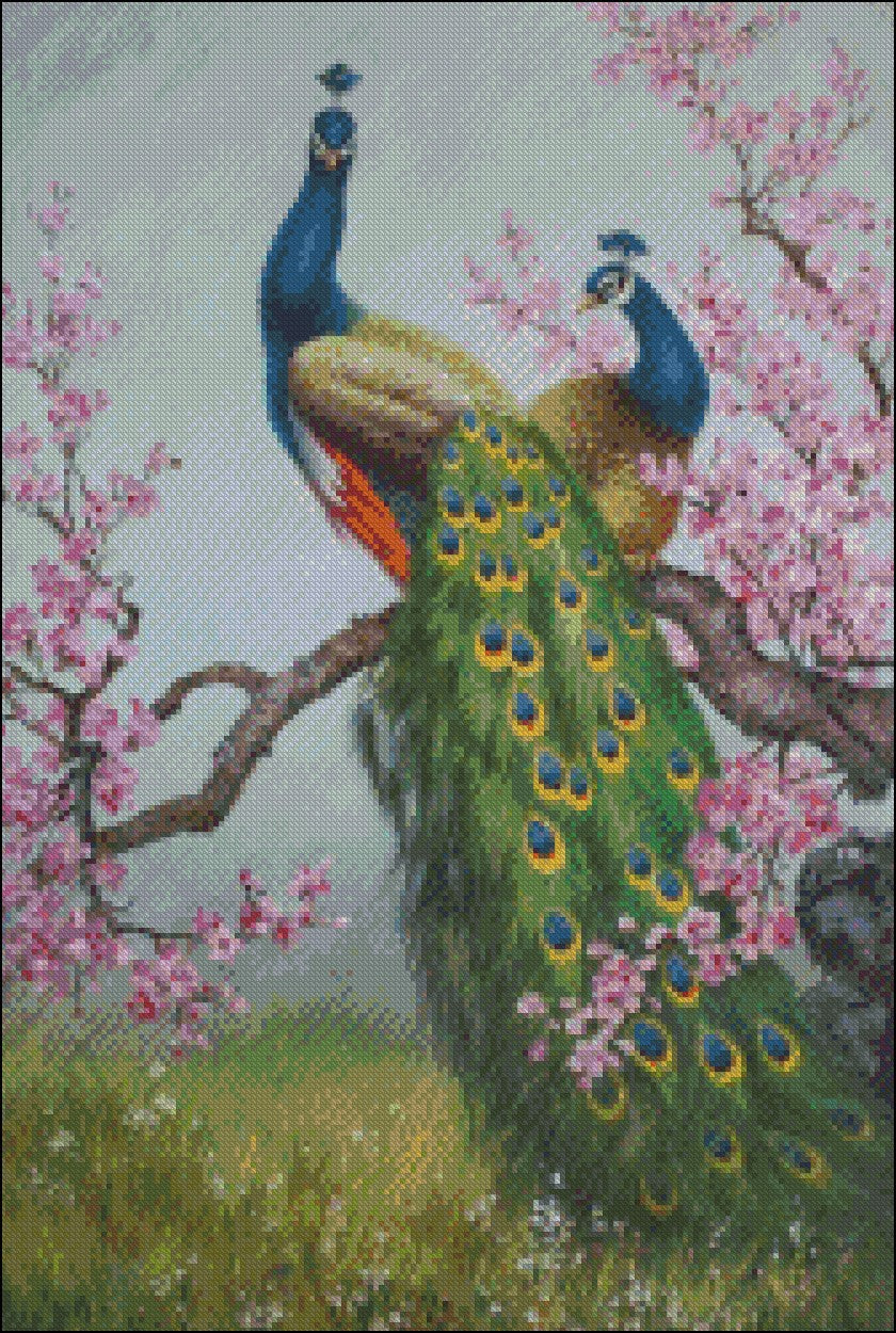 Peacock Collection 4 - Counted Cross Stitch Patterns Embroidery Crafts Needlework DIY Chart DMC Color