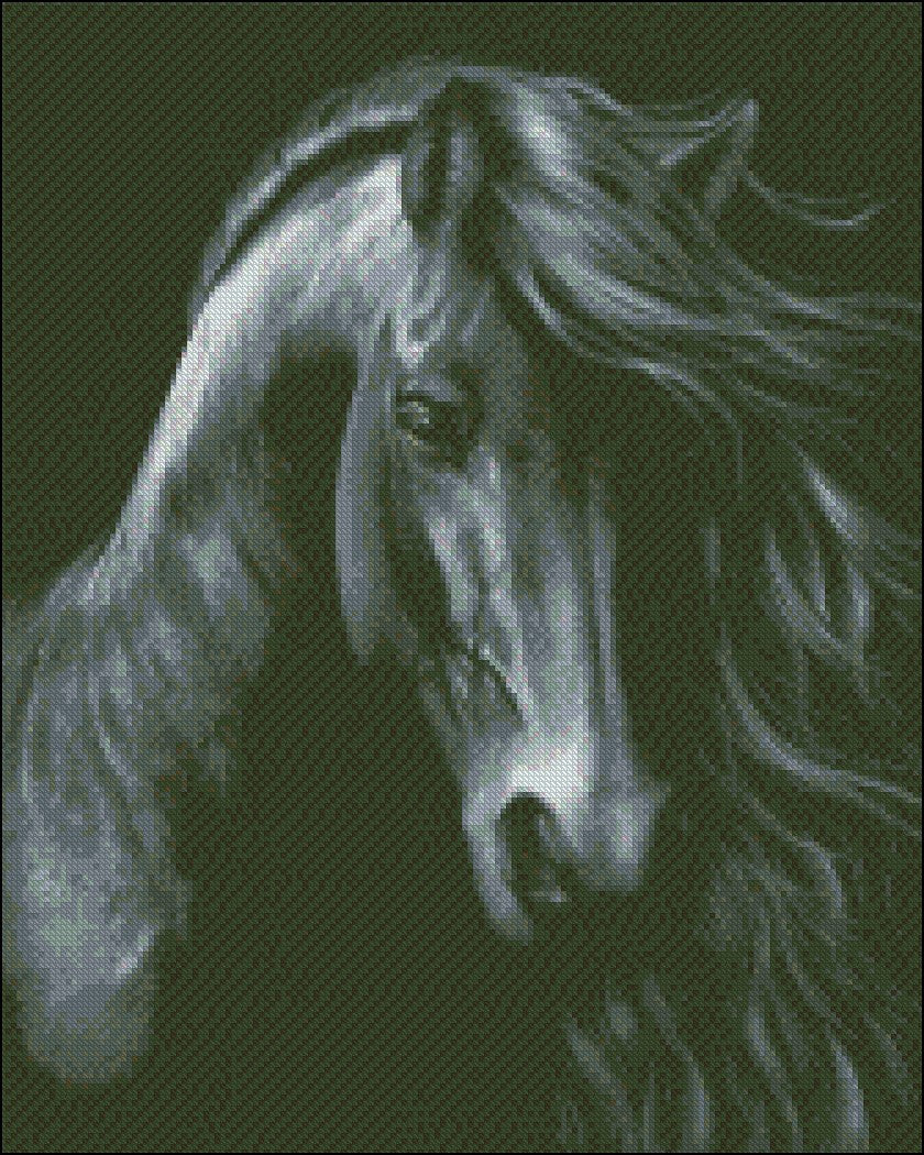 The Black Horse - Counted Cross Stitch Patterns Embroidery Crafts Needlework DIY Chart DMC Color