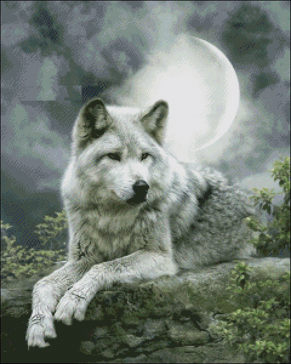 Night Wolf - Counted Cross Stitch Patterns Embroidery Crafts Needlework DIY Chart DMC Color
