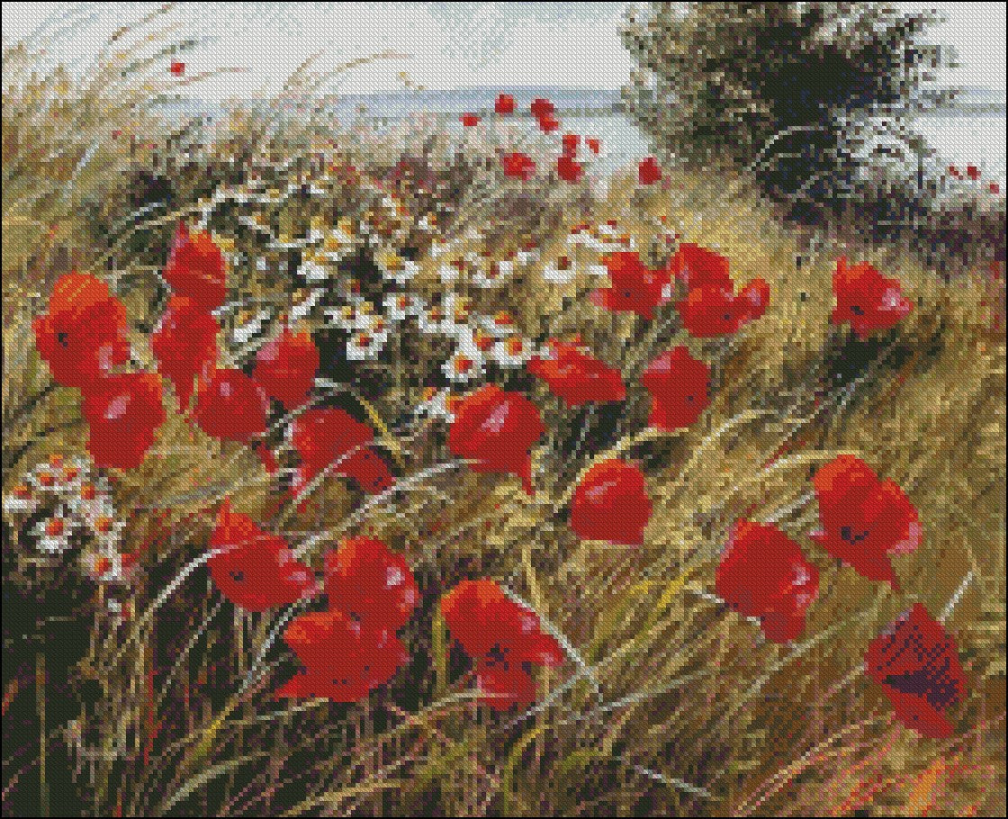 Poppies Field 3 - Counted Cross Stitch Patterns Embroidery Crafts Needlework DIY Chart DMC Color