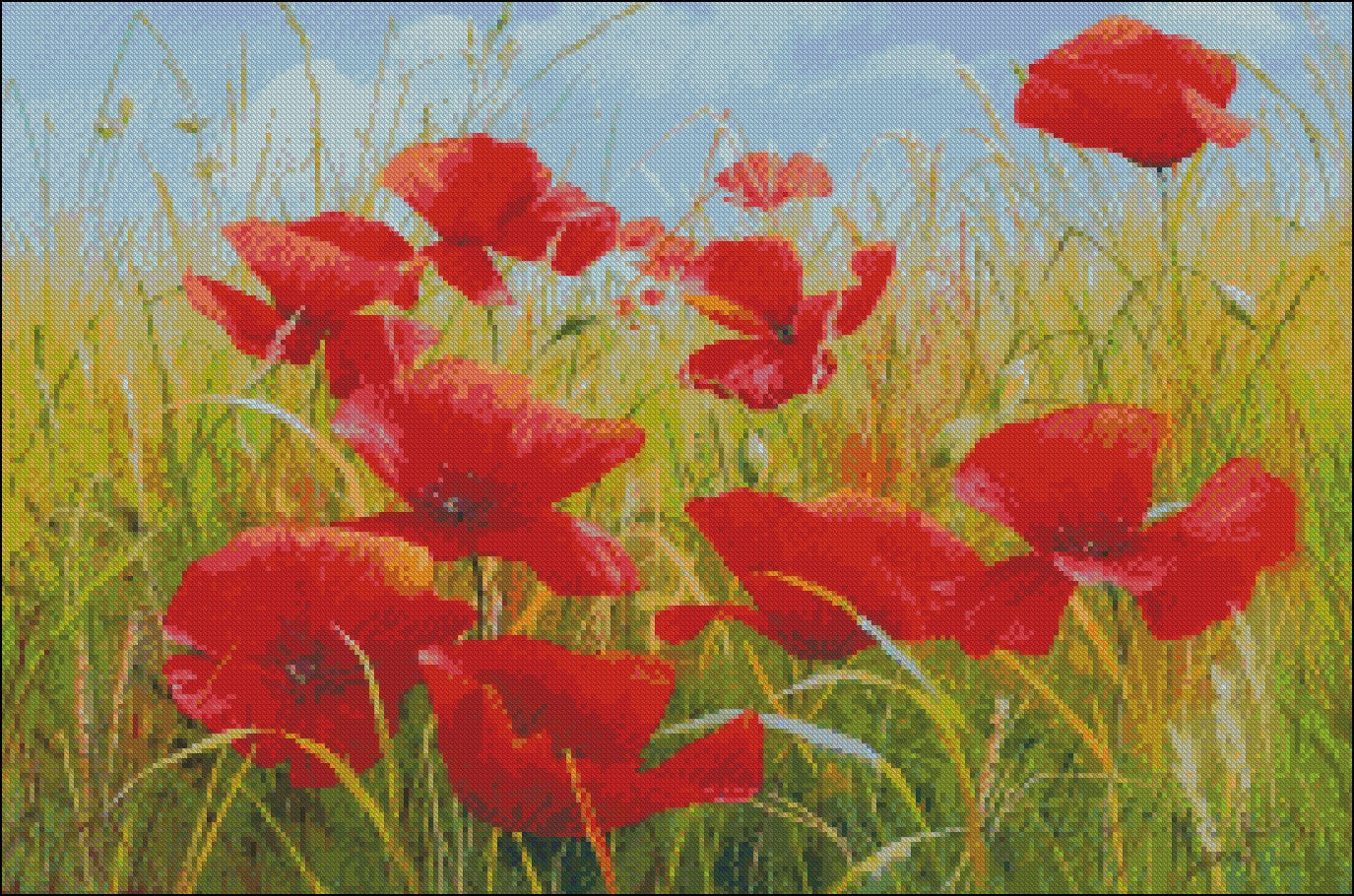 Poppies Field 16 - Counted Cross Stitch Patterns Embroidery Crafts Needlework DIY Chart DMC Color