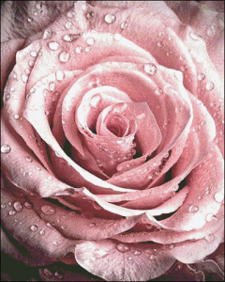The Dew Rose - Counted Cross Stitch Patterns Embroidery Crafts Needlework DIY Chart DMC Color