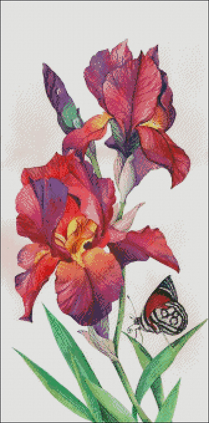 Iris and Butterfly - Counted Cross Stitch Patterns Embroidery Crafts Needlework DIY Chart DMC Color