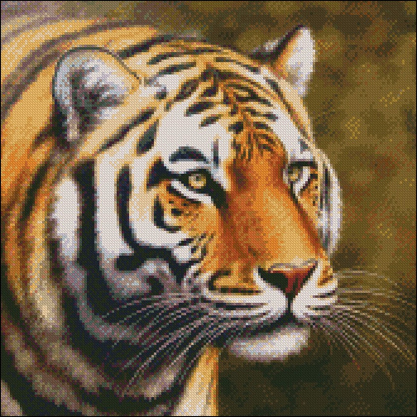 Portrait of Tiger - Counted Cross Stitch Patterns Embroidery Crafts Needlework DIY Chart DMC Color