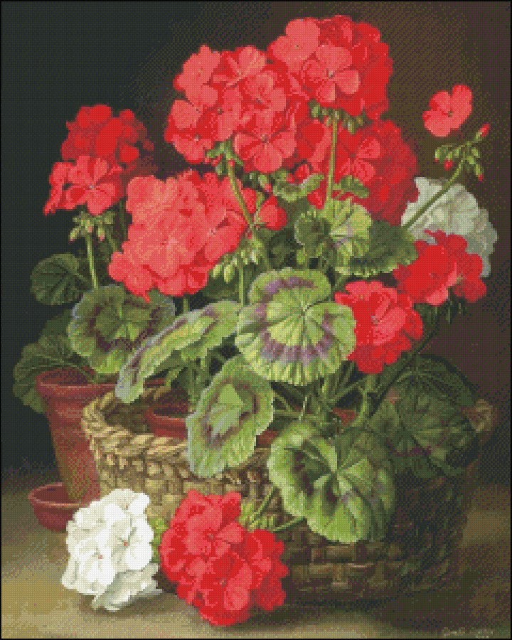 Scented Geraniums - Counted Cross Stitch Patterns Embroidery Crafts Needlework DIY Chart DMC Color