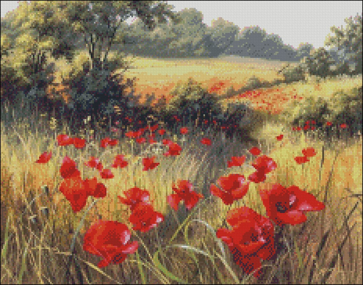 Poppies Field 6 - Counted Cross Stitch Patterns Embroidery Crafts Needlework DIY Chart DMC Color