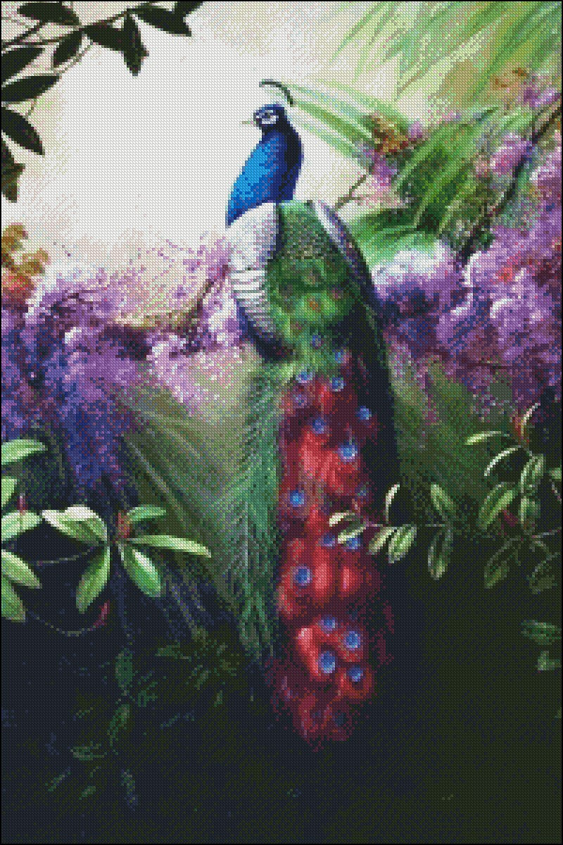 Peacock 3 - Counted Cross Stitch Patterns Embroidery Crafts Needlework DIY Chart DMC Color